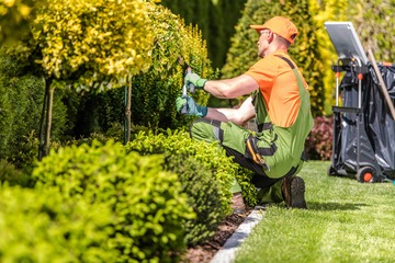 Création de jardins intérieurs et extérieurs